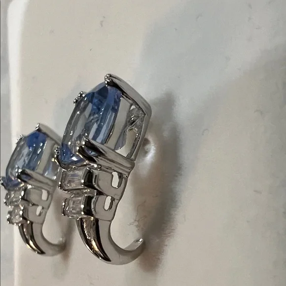 Elegant Sterling Silver and Blue Earrings - Picture 4 of 5